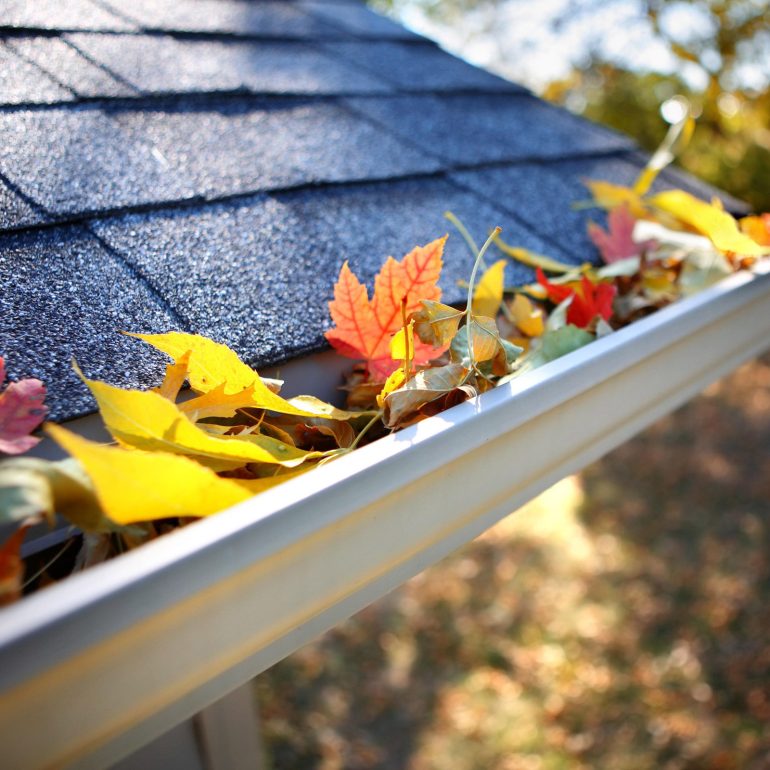 Gutter Cleaning by Liber Services